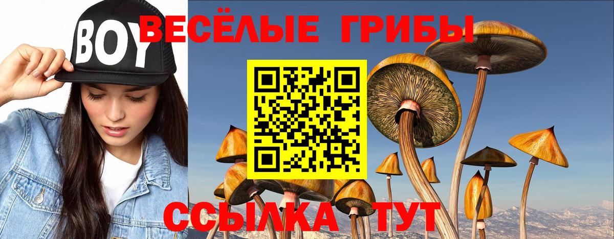 Златоуст  сколько стоит  Вход с VPN  Галлюциногенные грибы ЛСД 
